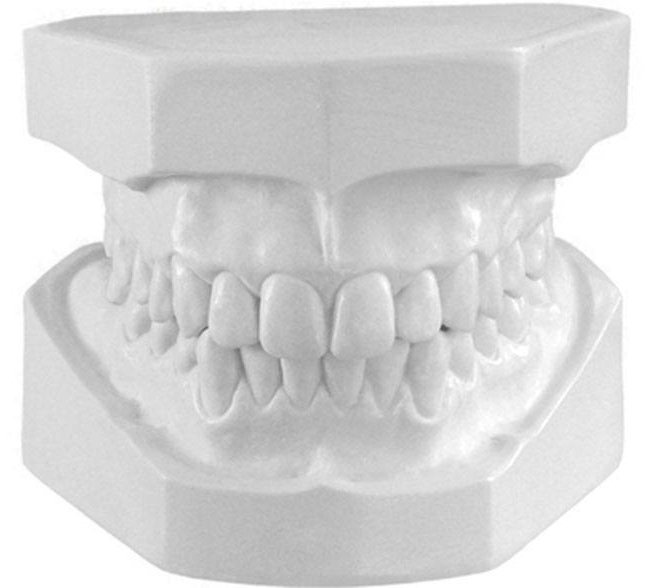 Denston Ortodontik diş alçısı